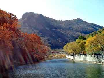 新澳天天开奖资料大全旅游团，神之领域小说